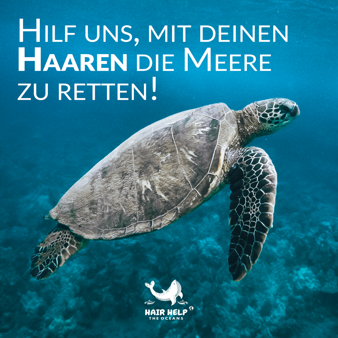 Hair Help the Oceans